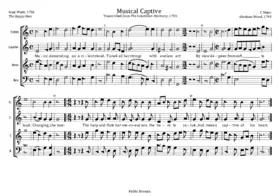 Musical Captive