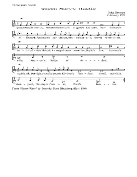 Queen Mary's thistle