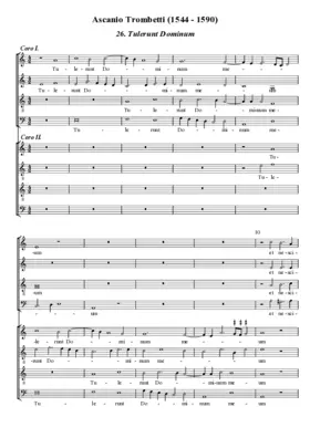 Tulerunt Dominum