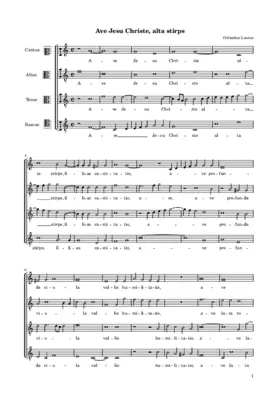 Ave Jesu Christe alta stirps