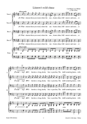 Lützows wilde Jagd