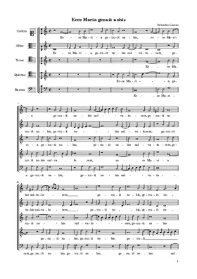 Ecce Maria genuit nobis