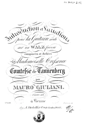 Introduction and Variations on a Waltz