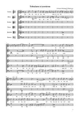 Tribularer si nescirem