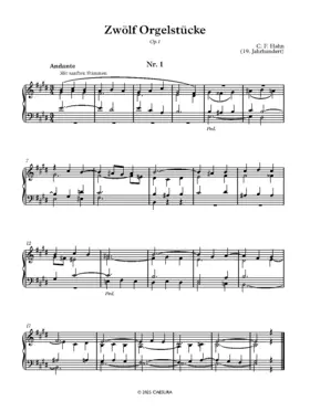 12 Orgelstücke