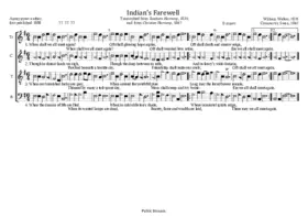Indian's Farewell