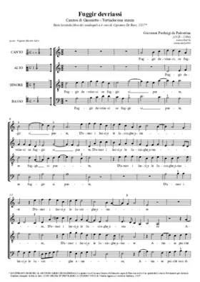 Fuggir devriassi (Tertiadecima stanza)