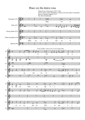 Haec est illa dulcis rosa