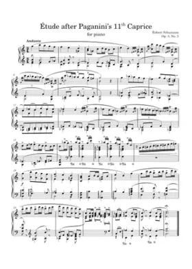 Etudes after Paganini Caprices Op.3