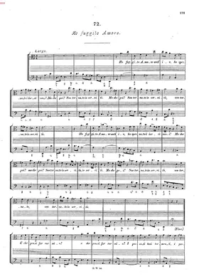 Ho fuggito Amore anch'io