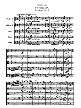 Serenade for String Orchestra ; Serenade for Strings