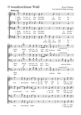 O wunderschöner Wald