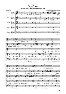 Tu es Petrus a 5