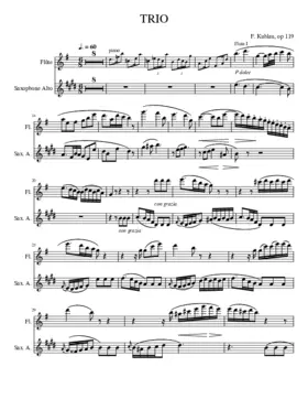 Trio pour 2 flûtes et piano op. 119