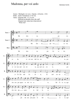 Madonna, per voi ardo