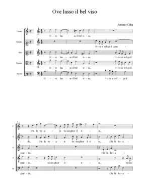 Ove lasso il bel viso