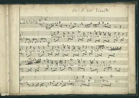 Scherza di fronda in fronda