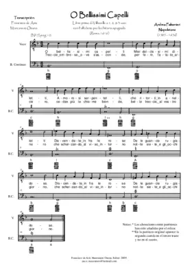 O bellissimi capelli