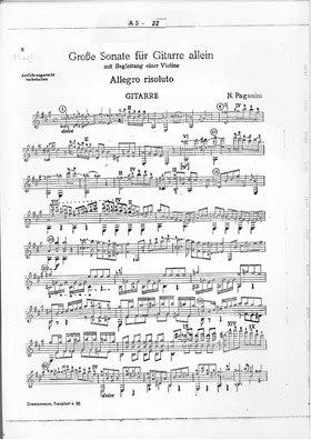 Grand Sonata per chitarra e violino
