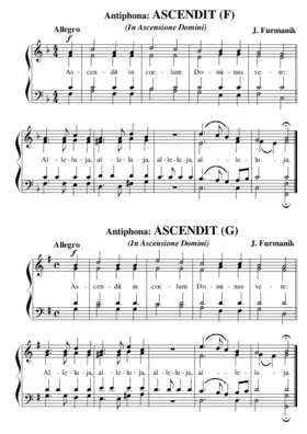 Ascendit