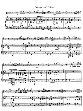 Violin Sonata in G minor, 'Didone abbandonata'