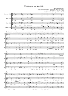 Peccantem me quotidie