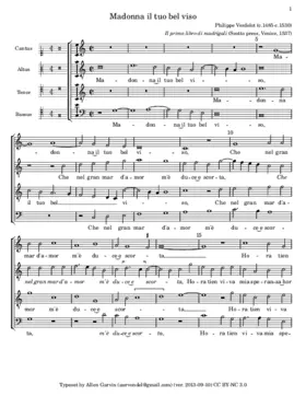 Madonna'l tuo bel viso