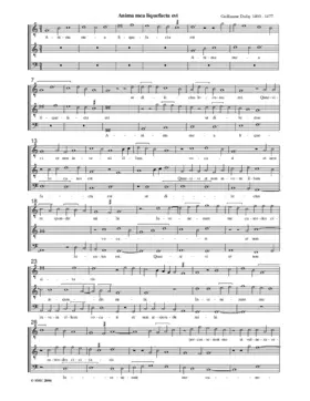 Anima mea liquefacta est