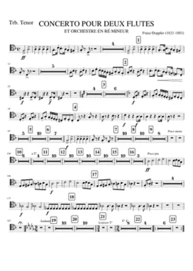 TRBT. CONCERTO 2 FLUTES