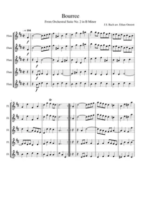 Orchestral Suite No.2 in B minor BWV 1067