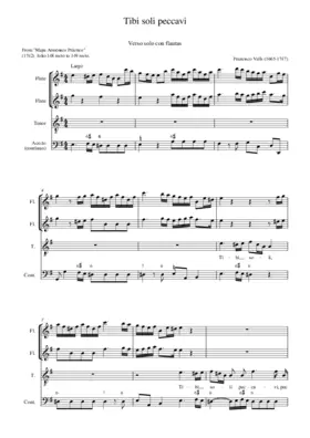 Tibi soli peccavi II