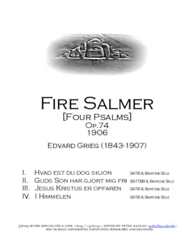 Fire Salmer