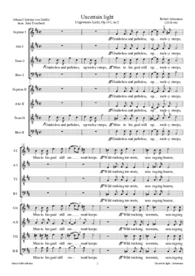 Ungewisses Licht, Op. 141, No. 2