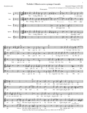 Torbido il Mincio corre