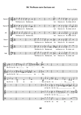 Verbum caro factum est