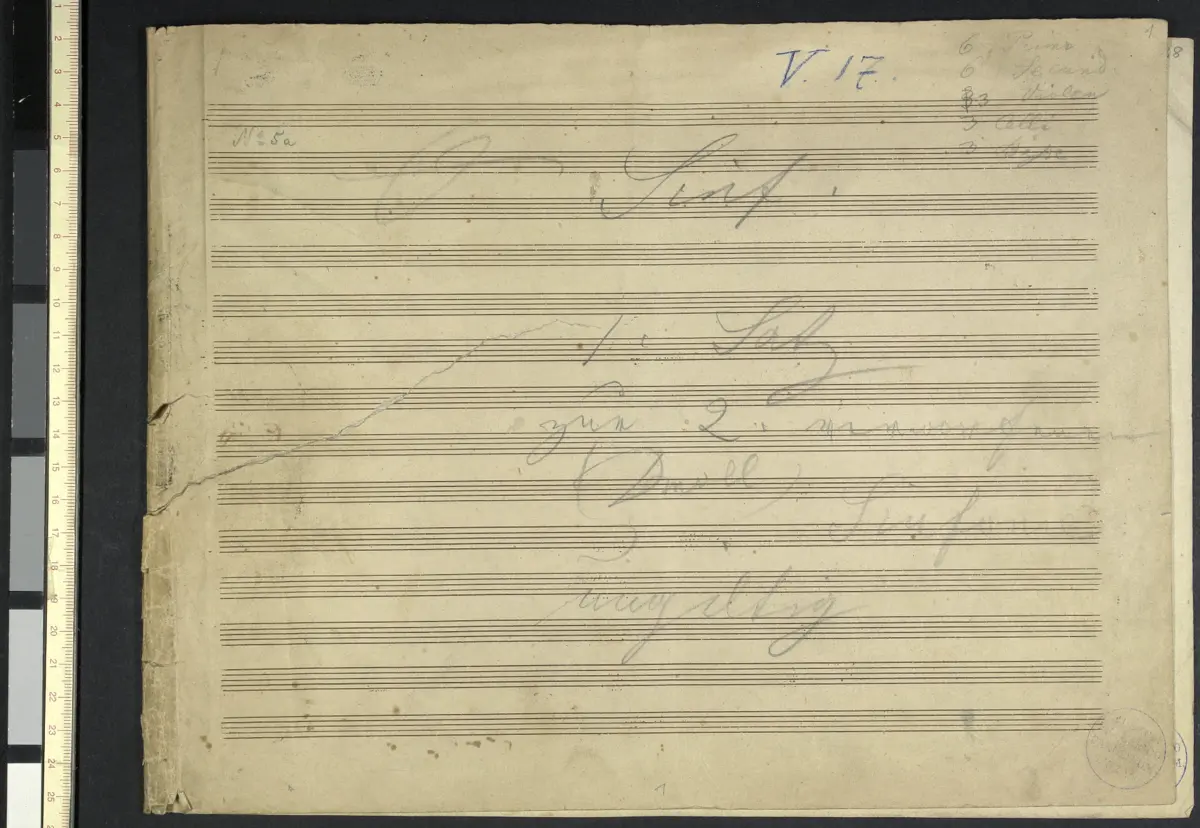 Symphony in D minor 'Annullierte' - Page 1