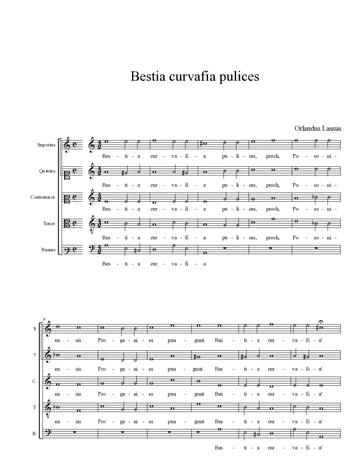 Bestia curvafia pulices - Page 1