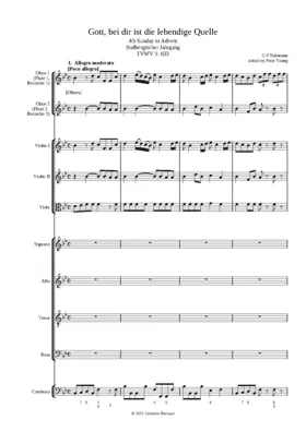 Gott, bei dir ist die lebendige Quelle