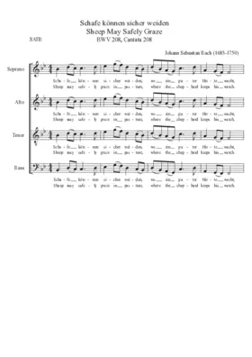 Was mir behagt, ist nur die muntre Jagd, BWV 208