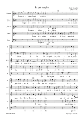 Io pur respiro in così gran dolore