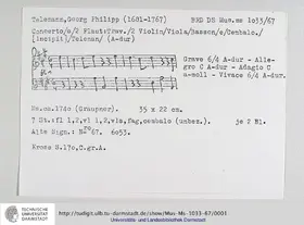 Concerto for 2 Flutes and Bassoon