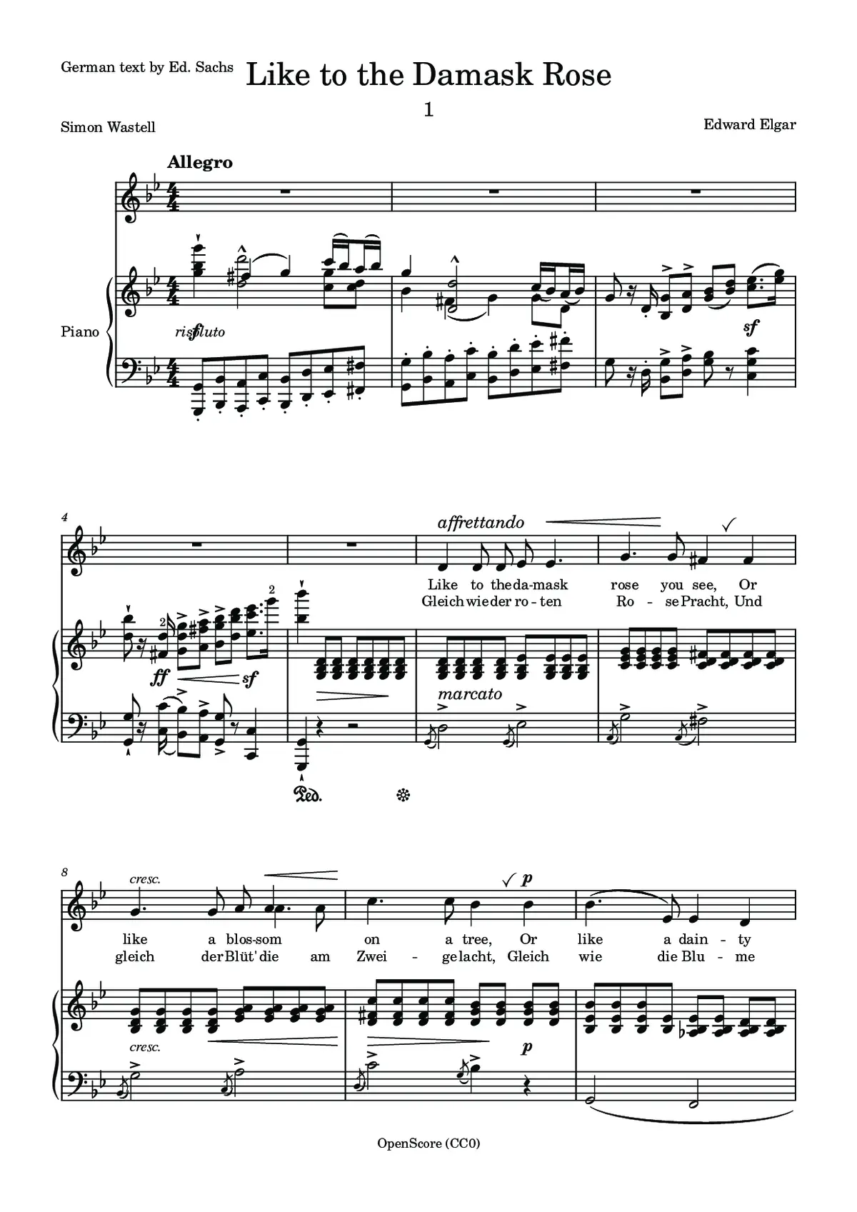 Like to the Damask Rose - Page 1