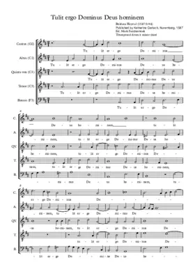 Tulit ergo Dominus Deus hominem