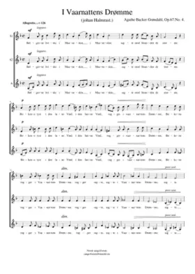 I Vaarnattens Drømme