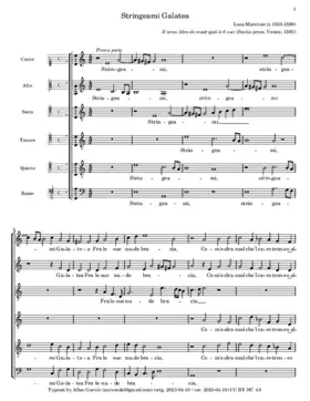 Stringeami Galatea