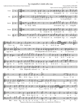 La verginella è simile alla rosa