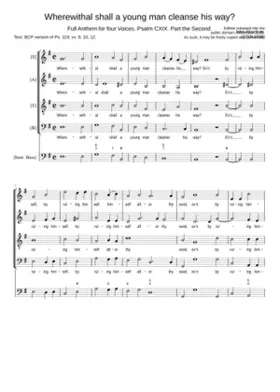 Wherewithal shall a young man cleanse his way?