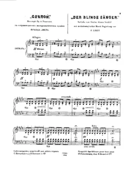 Der blinde Sänger