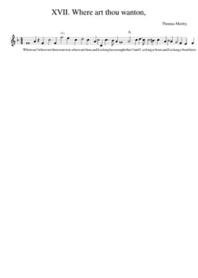 XVII. Where art thou wanton