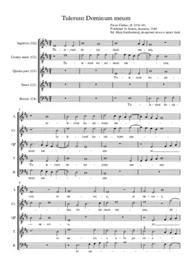 Tulerunt dominum meum